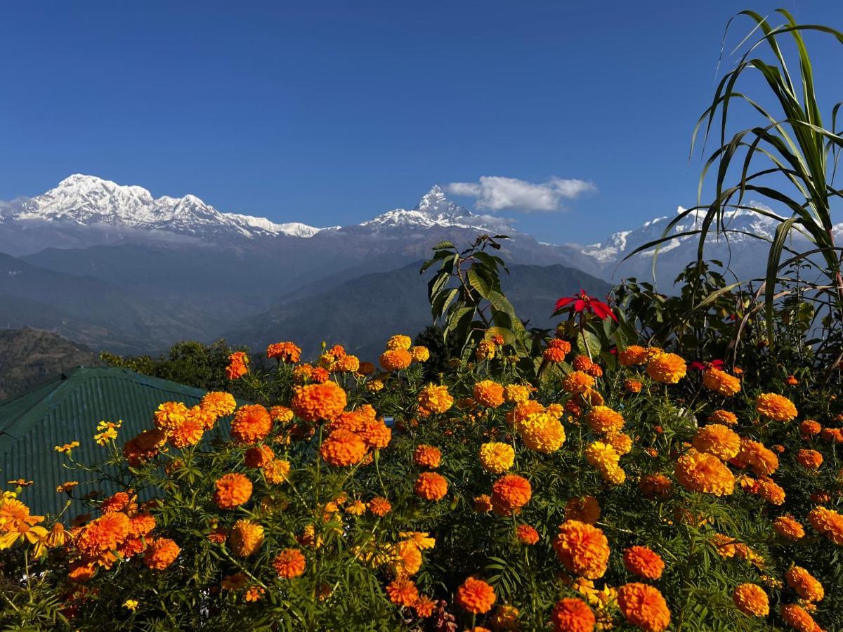 Es Deurali Resort Pokhara Exterior photo